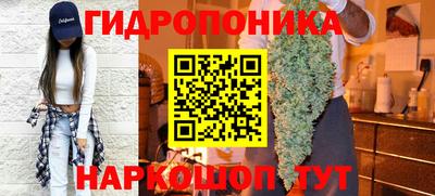 apvp Кандалакша