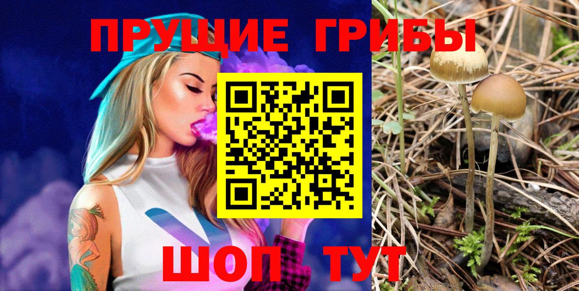 Хабаровск  Псилоцибиновые грибы MAGIC MUSHROOMS  Вход с VPN 