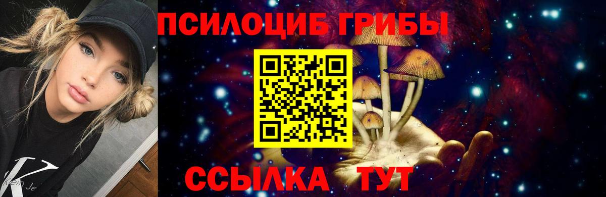 Псилоцибиновые грибы Psilocybine cubensis Хабаровск